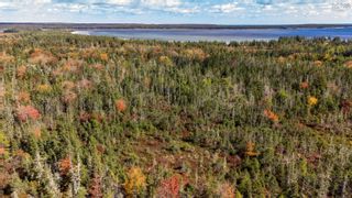 Photo 7: Lot West Sable Road in Shelburne: 407-Shelburne County Vacant Land for sale (South Shore)  : MLS®# 202224540