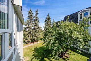 Photo 26: 203 320 CEDAR Crescent SW in Calgary: Spruce Cliff Apartment for sale : MLS®# A1253461