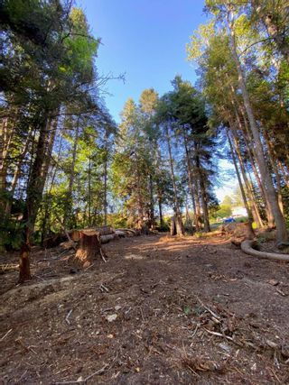 Photo 25: Lot B GRANDVIEW Road in Gibsons: Gibsons & Area Land for sale (Sunshine Coast)  : MLS®# R2860061