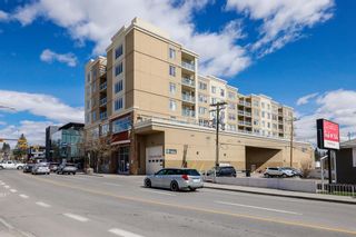 Photo 35: 315 3410 20 Street SW in Calgary: South Calgary Apartment for sale : MLS®# A1101709