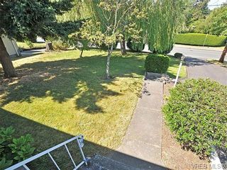 Photo 12: 3929 Braefoot Rd in VICTORIA: SE Cedar Hill House for sale (Saanich East)  : MLS®# 646556