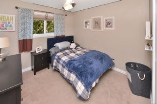 Photo 20: 3825 Mildred St in Saanich: SW Strawberry Vale House for sale (Saanich West)  : MLS®# 913603