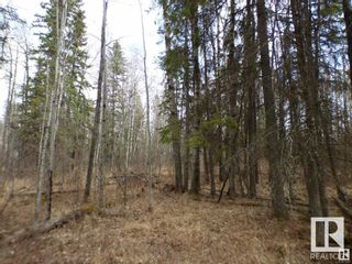 Main Photo: TWP 535 Range Road 41: Rural Lac Ste. Anne County Vacant Lot/Land for sale : MLS®# E4373578