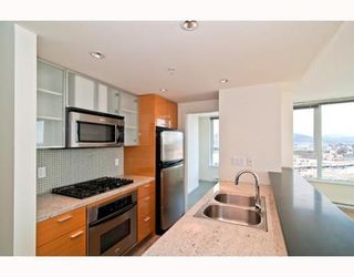 Photo 3: 2902 33 SMITHE Street in Vancouver West: Home for sale : MLS®# V754548