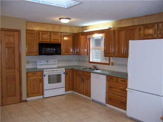 Photo 13: 327 TANNER Drive SE: Airdrie Residential Detached Single Family for sale : MLS®# C3514009
