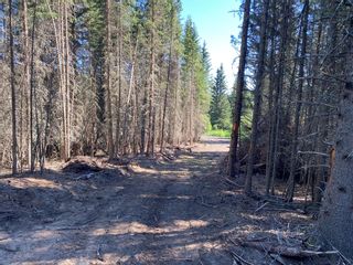 Photo 5: Lot 4 on south side of Jamieson Road in Rural Bighorn No. 8, M.D. of: Rural Bighorn M.D. Residential Land for sale : MLS®# A2021260