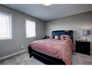 Photo 29: 151 COPPERPOND Square SE in Calgary: Copperfield House for sale : MLS®# C4074409