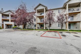Photo 17: 205 3000 Citadel Meadow Point NW in Calgary: Citadel Apartment for sale : MLS®# A1240957