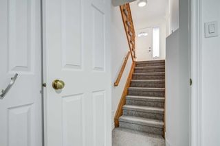 Photo 32: 117 Springhurst Avenue in Toronto: South Parkdale House (2-Storey) for sale (Toronto W01)  : MLS®# W5910147