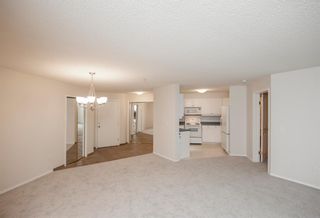 Photo 12: 1111 Millrise Point SW in Calgary: Millrise Apartment for sale : MLS®# A1043747