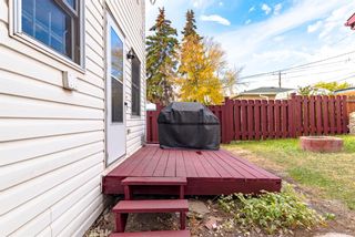 Photo 31: 2620 11 Avenue SE in Calgary: Albert Park/Radisson Heights Detached for sale : MLS®# A2017681