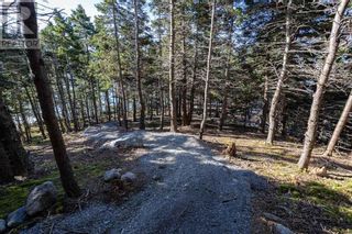 Photo 7: 51 Windy Cove Lane in St John's: House for sale : MLS®# 1258056