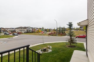 Photo 27: 353 WALDEN Square SE in Calgary: Walden Detached for sale : MLS®# C4208280