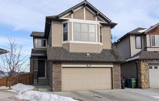 Photo 1: 21 CRANBERRY Cove SE in Calgary: Cranston House for sale : MLS®# C4164201