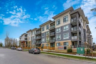 Photo 12: 214 20356 72B Avenue in Langley: Willoughby Heights Condo for sale : MLS®# R2752138