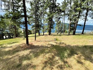 Photo 47: 110 Russell Road in Vernon: House for sale : MLS®# 10309738