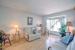 Photo 3: 231 Marlyn Place NE in Calgary: Marlborough Detached for sale : MLS®# A1246473