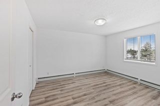 Photo 13: 2219 6224 17 Avenue SE in Calgary: Red Carpet Apartment for sale : MLS®# A1244660