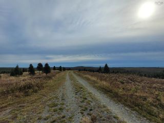 Photo 2: 3200 Clam Harbour Road in Clam Harbour: 35-Halifax County East Vacant Land for sale (Halifax-Dartmouth)  : MLS®# 202226870