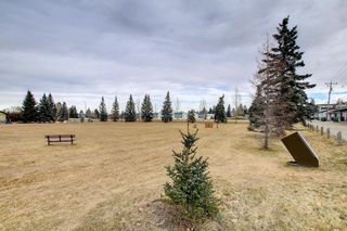 Photo 49: 2448 28 Avenue SW in Calgary: Richmond Detached for sale : MLS®# A1165112