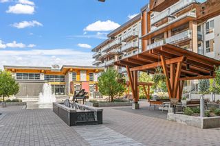 Photo 38: 2106 11 Mahogany Row SE in Calgary: Mahogany Apartment for sale : MLS®# A2083232