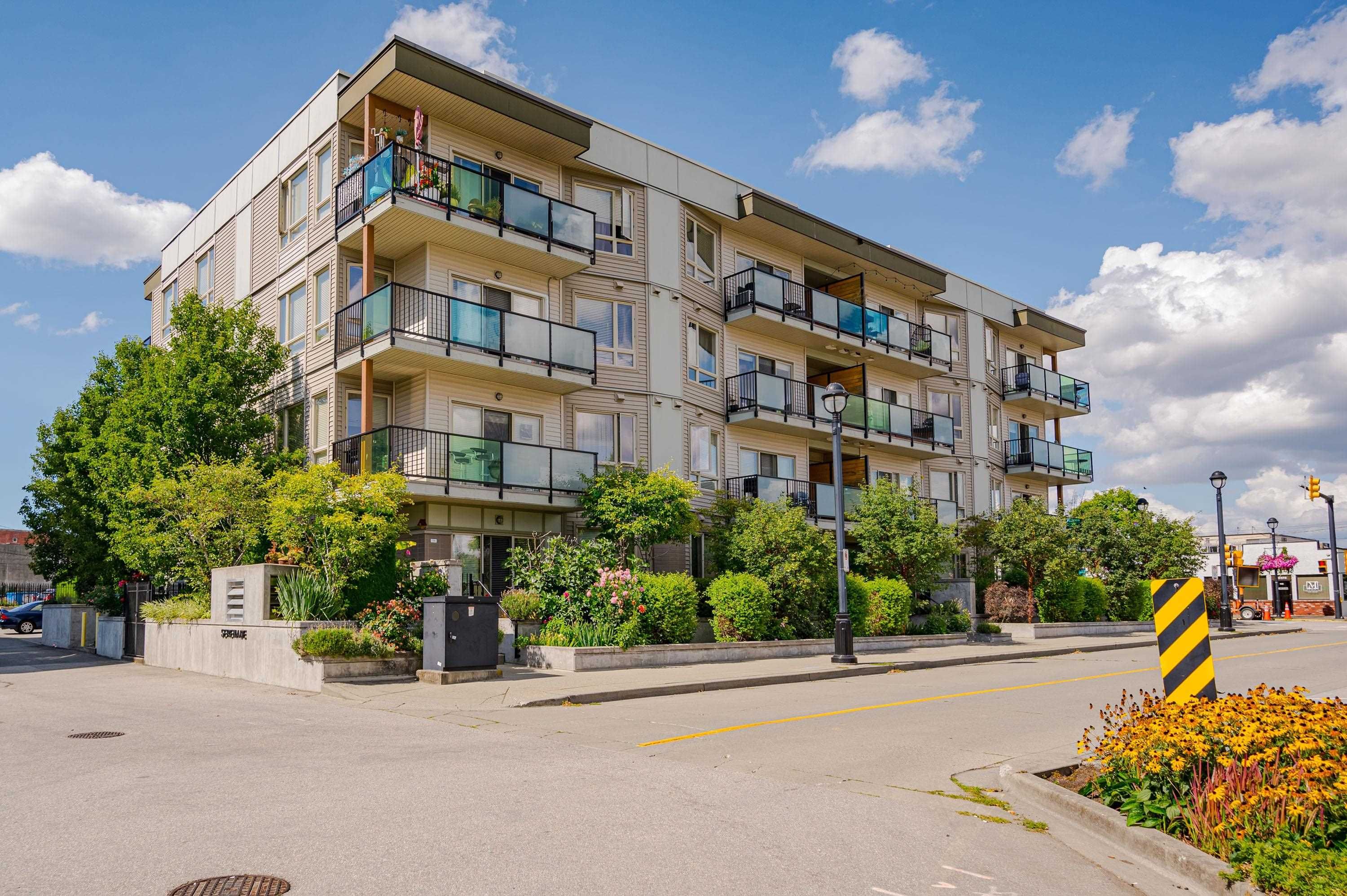 Main Photo: 313 20460 DOUGLAS Crescent in Langley: Langley City Condo for sale : MLS®# R2816518