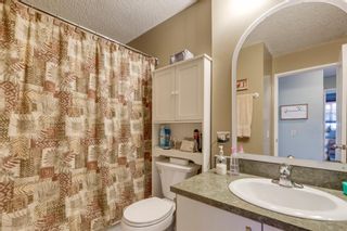 Photo 11: 10 Abalone Crescent NE in Calgary: Abbeydale Detached for sale : MLS®# A1072255