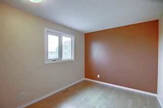 Photo 19: 56 Mckenna Crescent SE in Calgary: McKenzie Lake Detached for sale : MLS®# A1230523