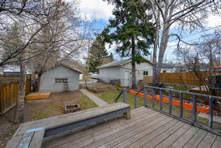 Photo 20: 432 11A Street NW in Calgary: Hillhurst Detached for sale : MLS®# A1213546