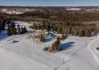 Photo 29: 31 5413 Highway 579: Rural Mountain View County Detached for sale : MLS®# A2036330