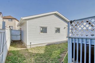 Photo 22: 396 Martindale Drive NE in Calgary: Martindale Detached for sale : MLS®# A2046111