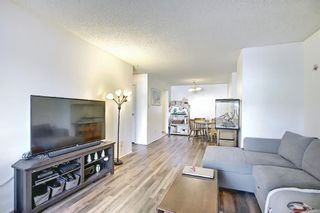 Photo 11: 4103, 315 Southampton Drive SW in Calgary: Southwood Apartment for sale : MLS®# A1072279