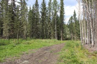 Photo 18: 360085 214 Avenue W: Rural Foothills County Residential Land for sale : MLS®# A1149106