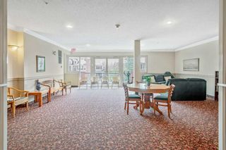 Photo 4: 211 78 Prestwick Gardens SE in Calgary: McKenzie Towne Apartment for sale : MLS®# A2128417