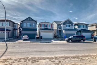 Photo 45: 3610 Cornerstone Boulevard NE in Calgary: Cornerstone Detached for sale : MLS®# A2125707