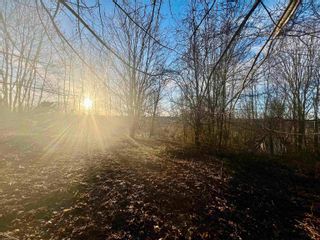 Photo 5: Lot 2022-2 Greenfield Road in Gaspereau: Kings County Vacant Land for sale (Annapolis Valley)  : MLS®# 202409252