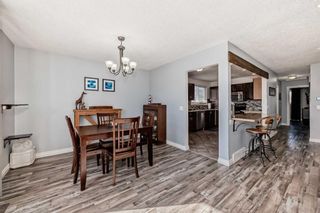 Photo 14: 2711 46 Street SE in Calgary: Dover Semi Detached (Half Duplex) for sale : MLS®# A2123114