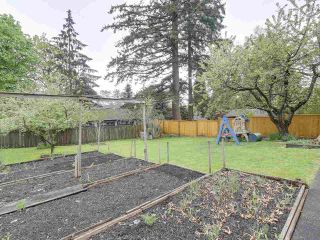 Photo 15: 1906 W KING EDWARD Avenue in Vancouver: Quilchena House for sale (Vancouver West)  : MLS®# R2162632