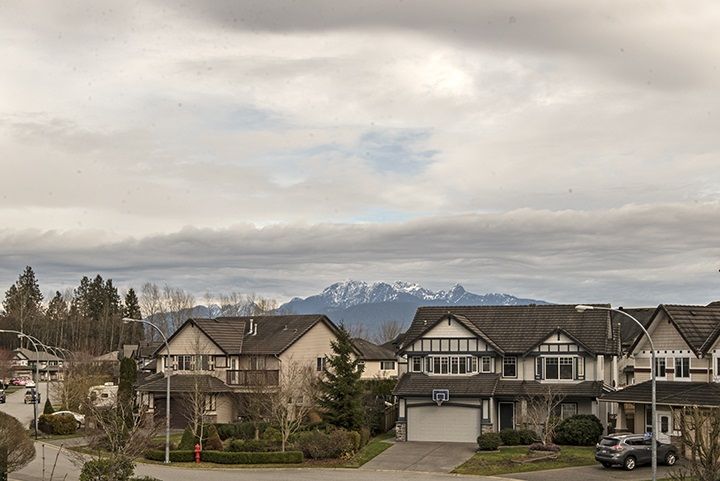Photo 19: Photos: 1082 AMAZON Drive in Port Coquitlam: Riverwood House for sale : MLS®# R2039714