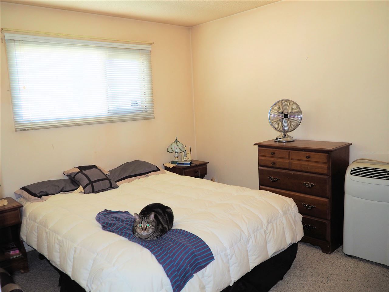 Photo 9: Photos: 487 S OGILVIE Street in Prince George: Quinson House for sale (PG City West (Zone 71))  : MLS®# R2097655