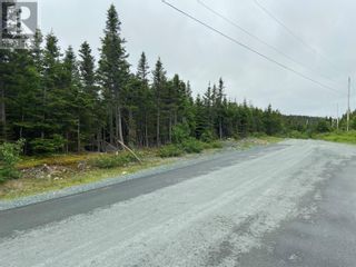 Photo 4: 45 Robin's Pond Hill Road in Torbay: Vacant Land for sale : MLS®# 1271268