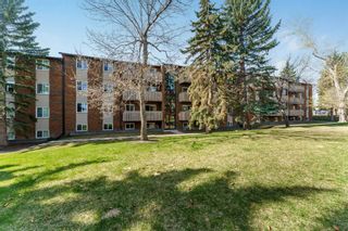 Photo 16: 933 11620 Elbow Drive SW in Calgary: Canyon Meadows Apartment for sale : MLS®# A2131177