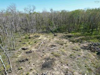 Photo 4: Lot 22-5 Logan Road in Frasers Mountain: 108-Rural Pictou County Vacant Land for sale (Northern Region)  : MLS®# 202310170