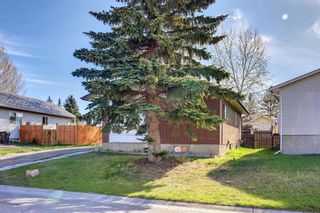 Photo 47: 124 Abingdon Crescent NE in Calgary: Abbeydale Detached for sale : MLS®# A1217184