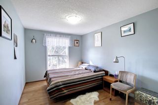 Photo 18: 463 Cedarille Crescent SW in Calgary: Cedarbrae Detached for sale : MLS®# A1196341