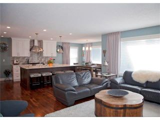 Photo 13: 67 CHAPMAN Way SE in Calgary: Chaparral House for sale : MLS®# C4065212