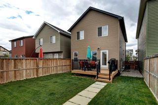 Photo 28: 63 Autumn Crescent SE in Calgary: Auburn Bay Detached for sale : MLS®# A1229141