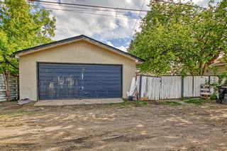 Photo 39: 4220 Marwood Road NE in Calgary: Marlborough Detached for sale : MLS®# A2051784