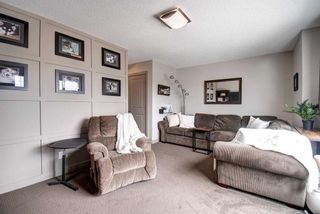 Photo 34: 166 Hillcrest Circle SW: Airdrie Detached for sale : MLS®# A2129846