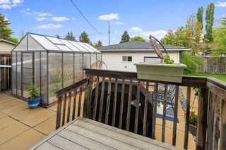 Photo 33: 7007 61 Avenue NW in Calgary: Silver Springs Detached for sale : MLS®# A2141179